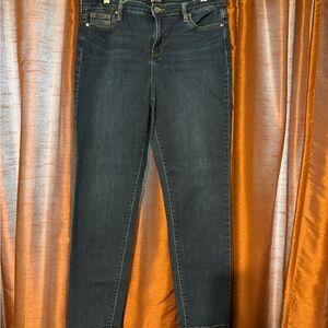 Buffalo David Bitton Dark Indigo Skinny Jeans